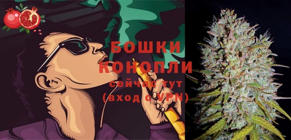 ПСИЛОЦИБИНОВЫЕ ГРИБЫ Нижний Тагил