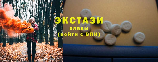 мдпв Новозыбков