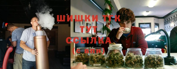 крисы Новокубанск