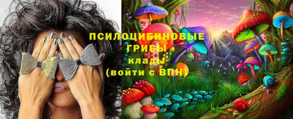 МДМА Новодвинск