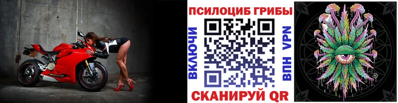где найти наркотики  Ногинск  Псилоцибиновые грибы ЛСД 